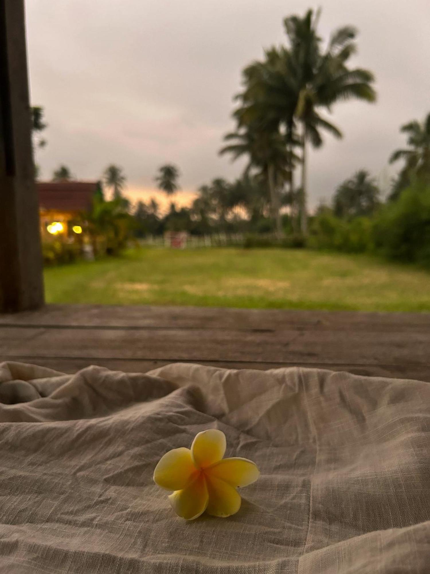 Linkgreen Homestay Lombok Tetebatu Exterior photo